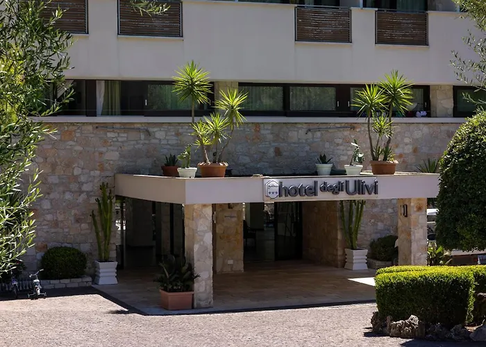 Degli Ulivi