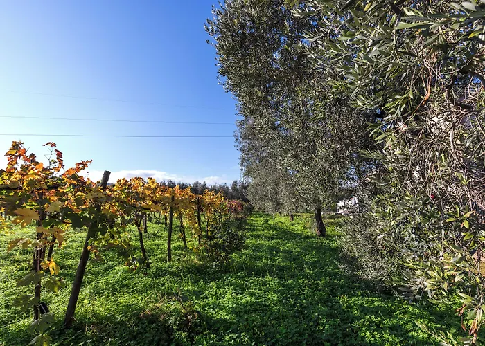 Agriturismo Posta Pastorella
